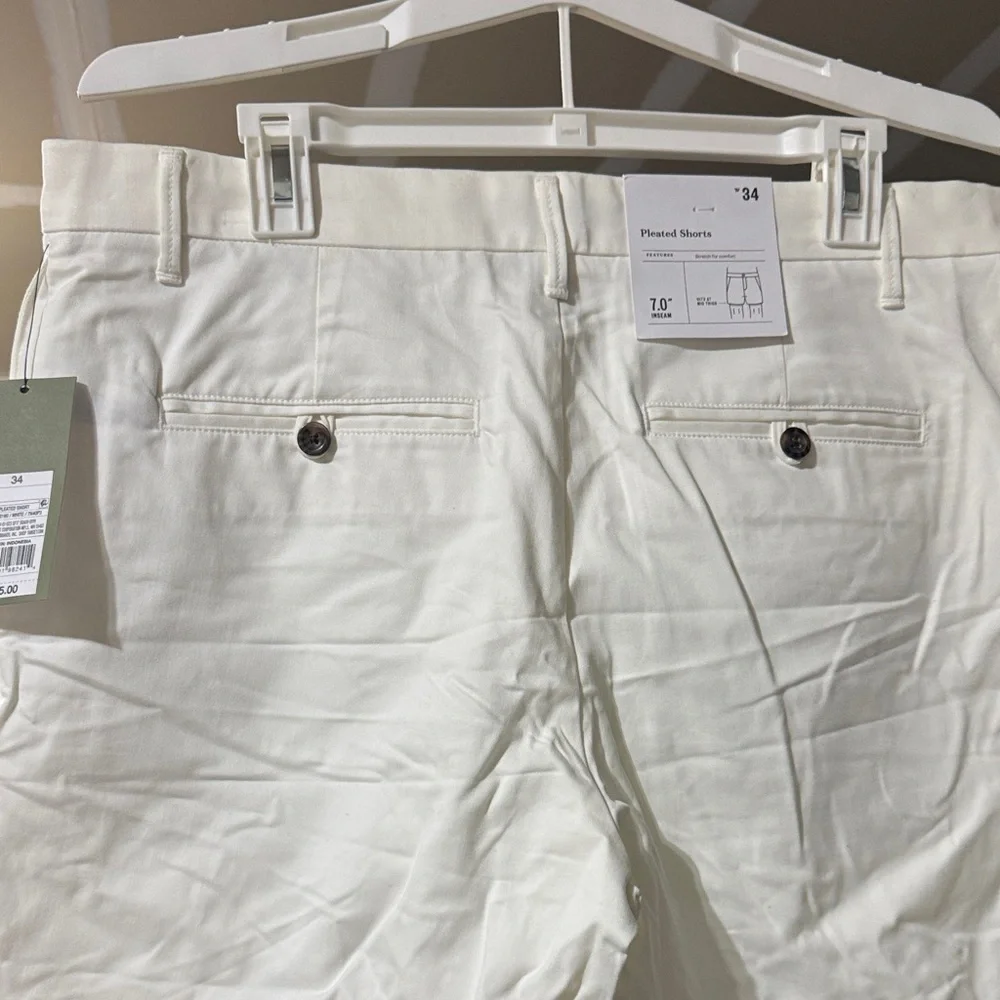 Size 34 Goodfellow & Co Men's Tan Flat Front Shorts